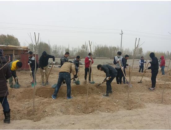 阿克苏职业技术学院顺利完成2016年阿克苏河生态建设工程义务植树造林劳动