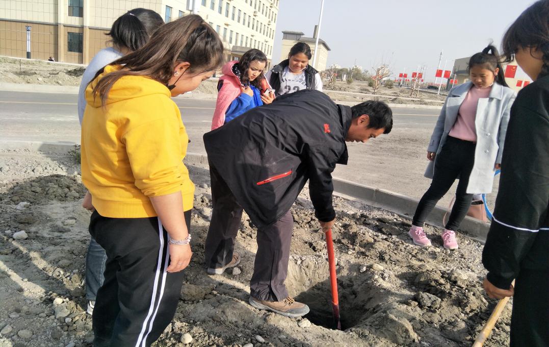 阿克苏职业技术学院师生开展植树活动绿化校园